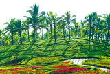 Aloha Hawaii