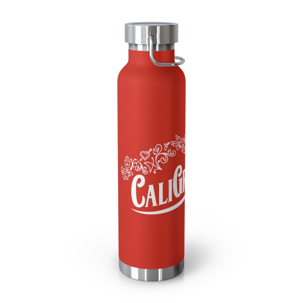 22oz Vacuum Insulated Bottle - Mug