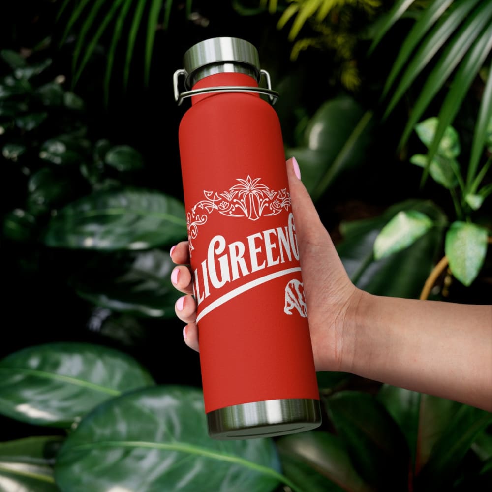 22oz Vacuum Insulated Bottle - Mug