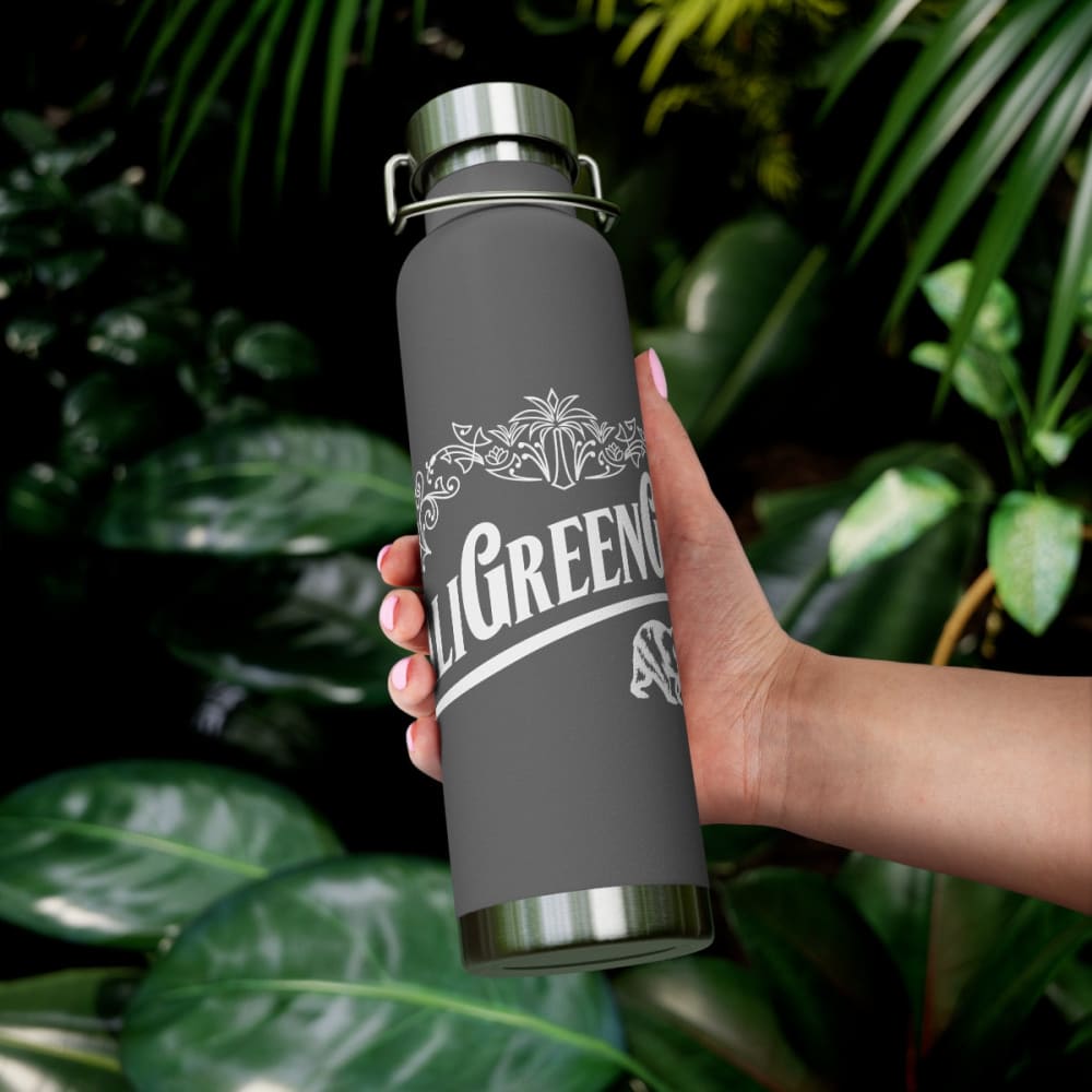 22oz Vacuum Insulated Bottle - Mug