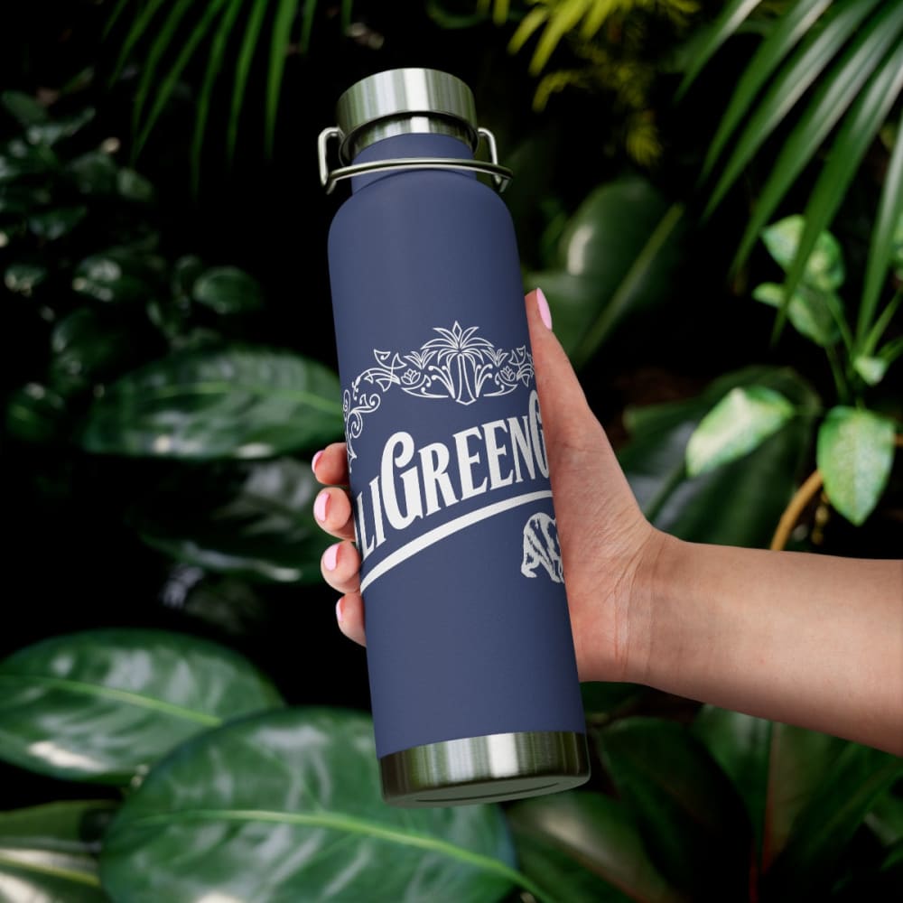 22oz Vacuum Insulated Bottle - Mug