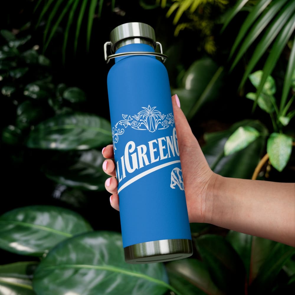 22oz Vacuum Insulated Bottle - Mug
