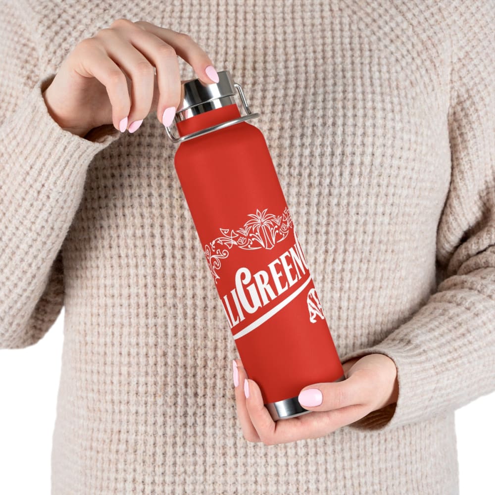 22oz Vacuum Insulated Bottle - Mug