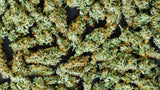 THCA Flower
