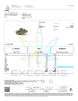 Runtz Exotic Indoor Flower Hybrid