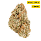 Orange Creamsicle Exotic Indoor Flower Sativa