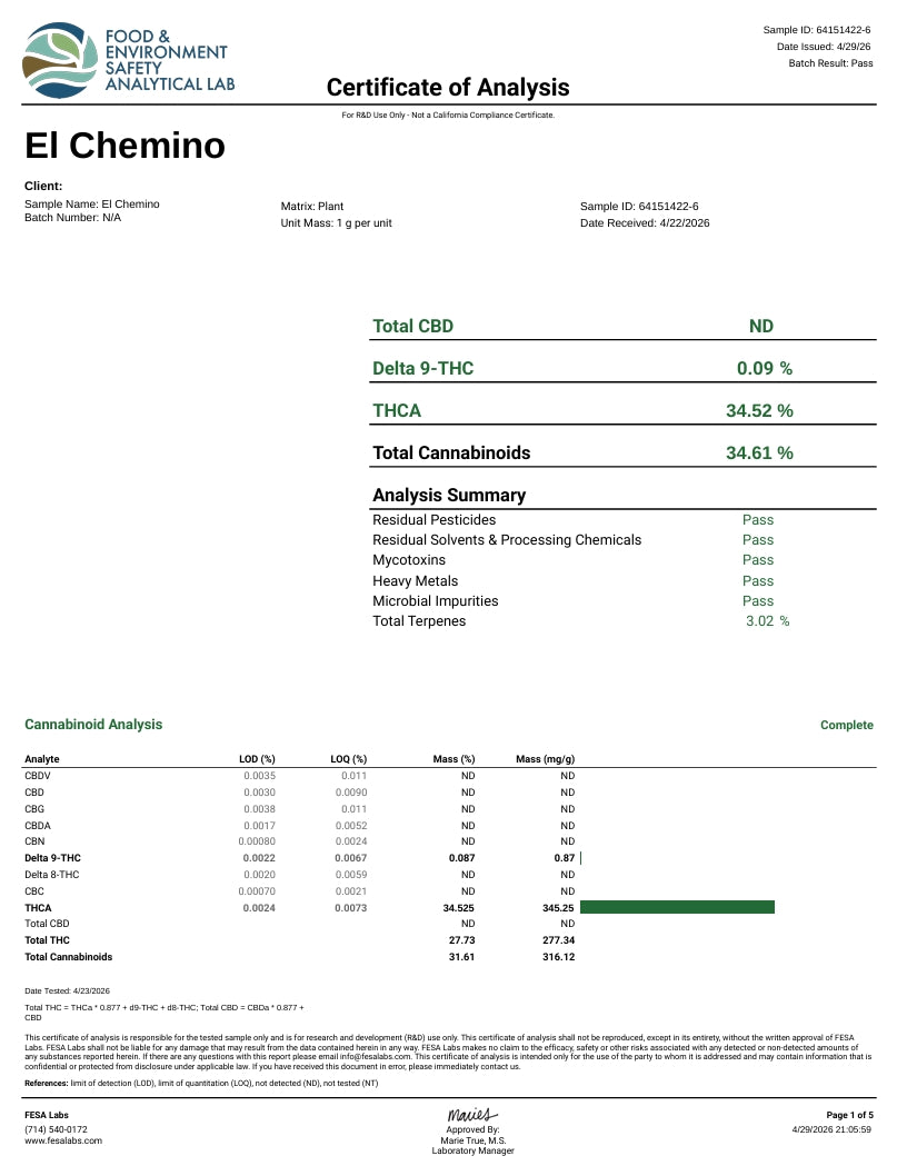 El Chemino THCA Flower – Sativa · Indoor Exotic | CaliGreenGold