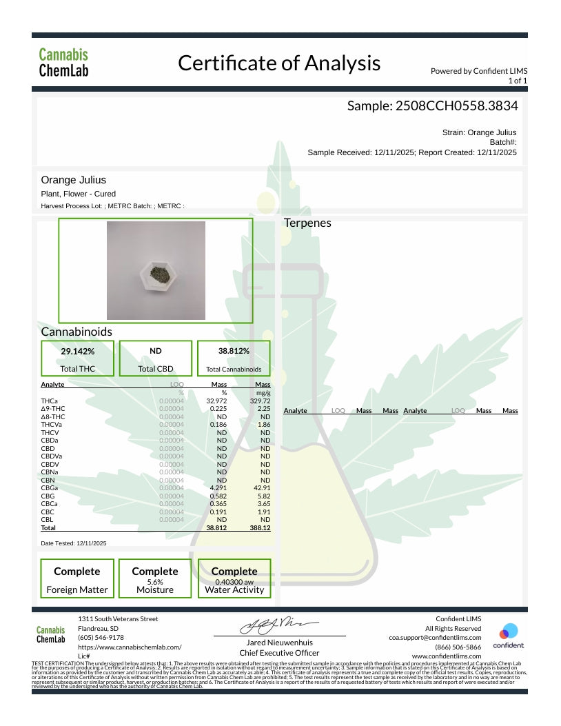 Orange Julius THCA Flower – Indoor Top Shelf Sativa | CaliGreenGold