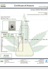 Super Cheese Diesel High THCA Flower Indica