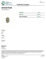 Animal Funk High THCA Flower Indica
