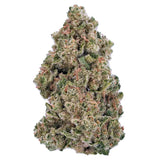 White Runtz Exotic Indoor THCA Flower Hybrid