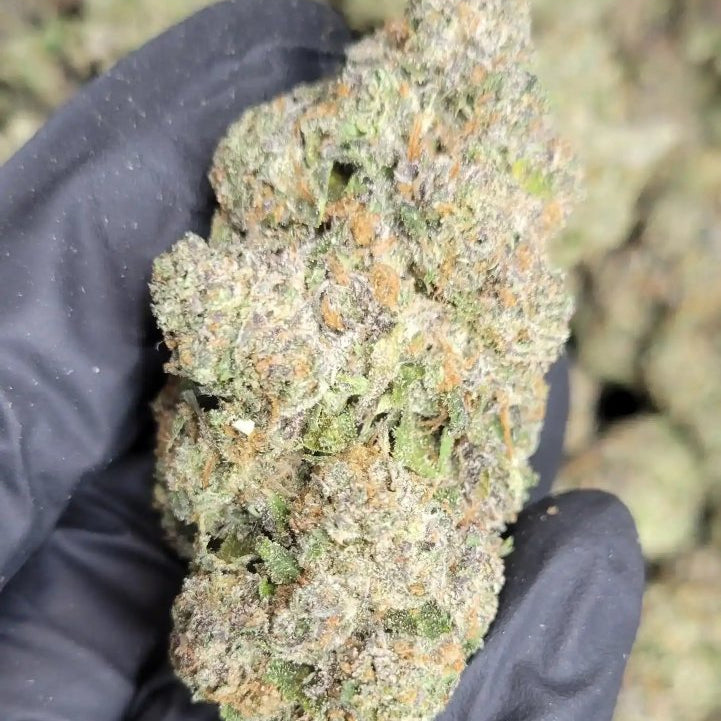 Astro Candy Exotic Indoor THCA Flower Hybrid - CaliGreenGold