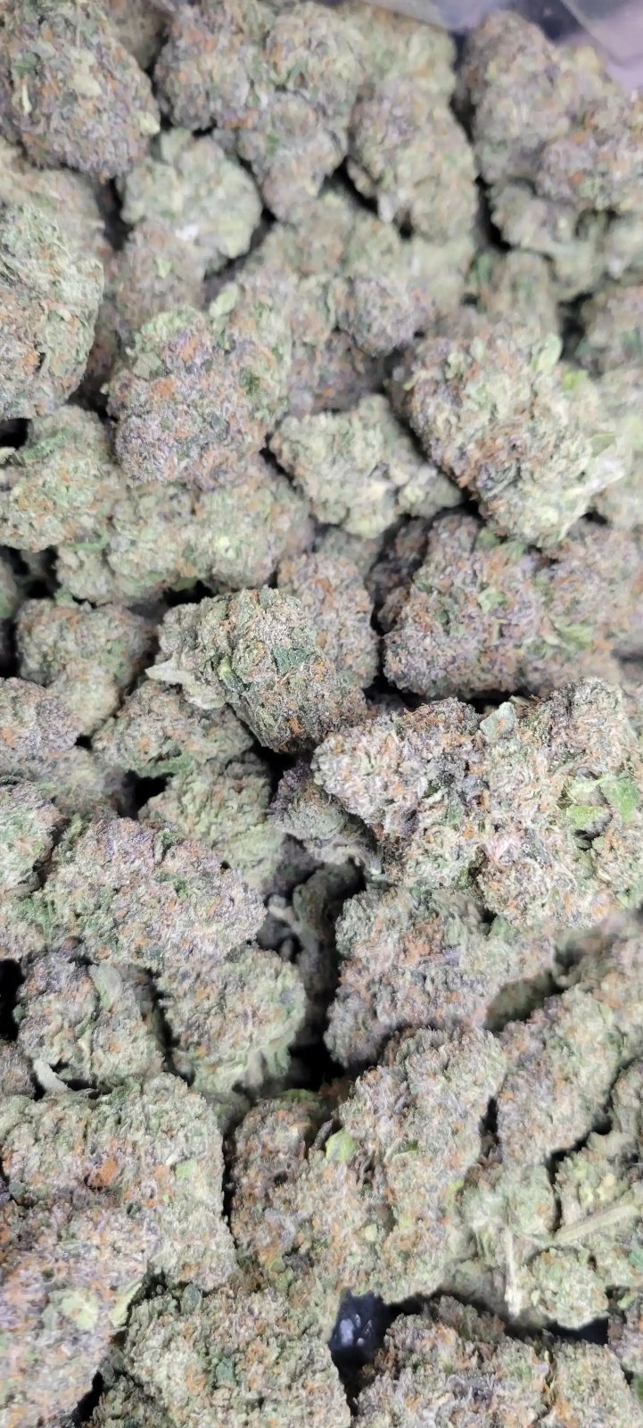 Astro Candy Exotic Indoor THCA Flower Hybrid - CaliGreenGold