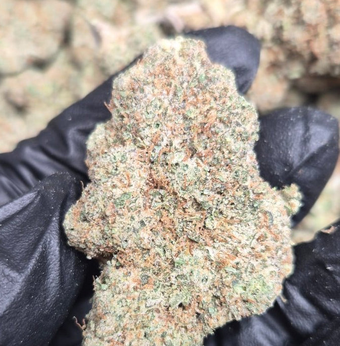 Banana OG High THCA Flower Indica - CaliGreenGold