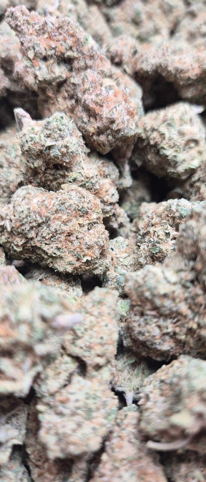 Banana OG High THCA Flower Indica - CaliGreenGold