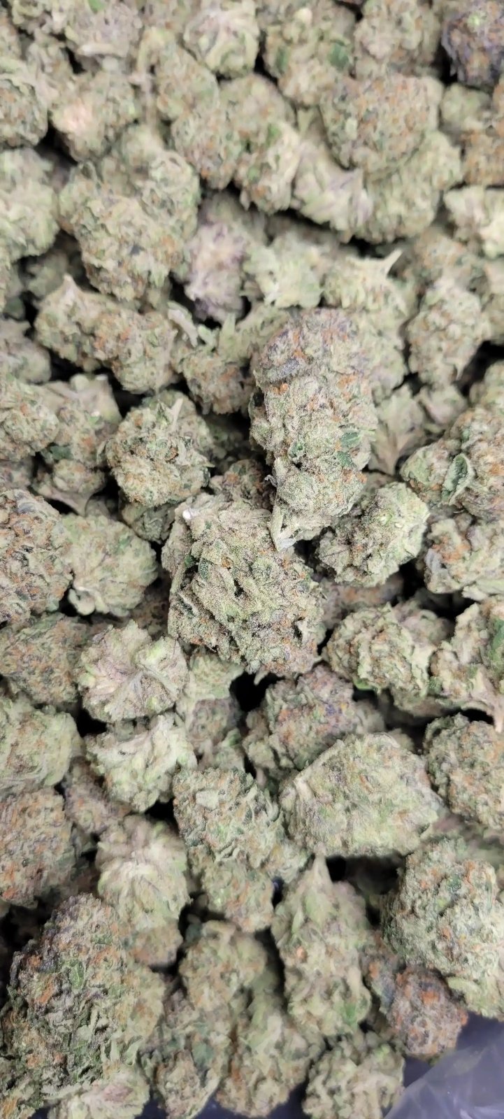 Bangkok Purple High THCA Flower Sativa - CaliGreenGold