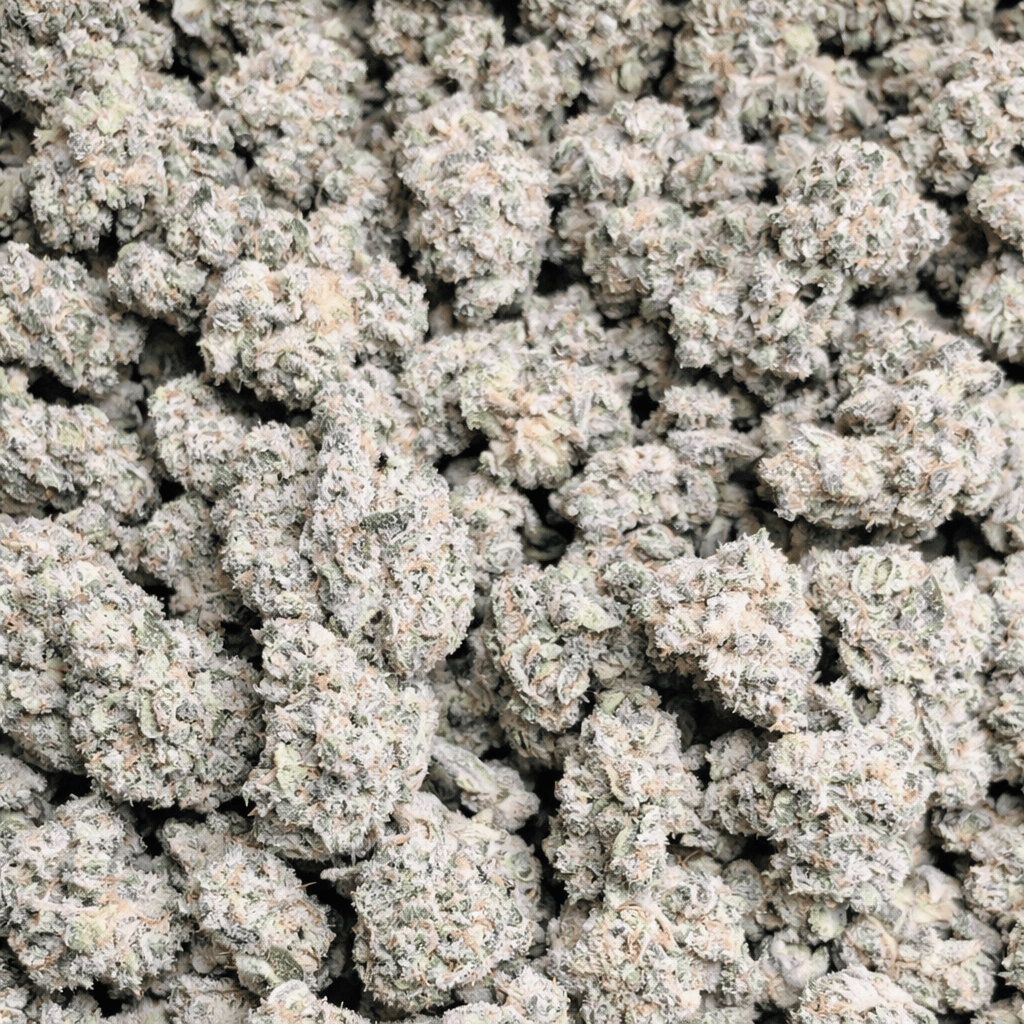Black Ice Exotic Indoor THCA Flower Indica - CaliGreenGold
