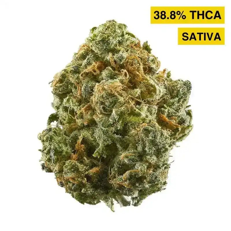 Blue Dream High THCA Flower Sativa - CaliGreenGold