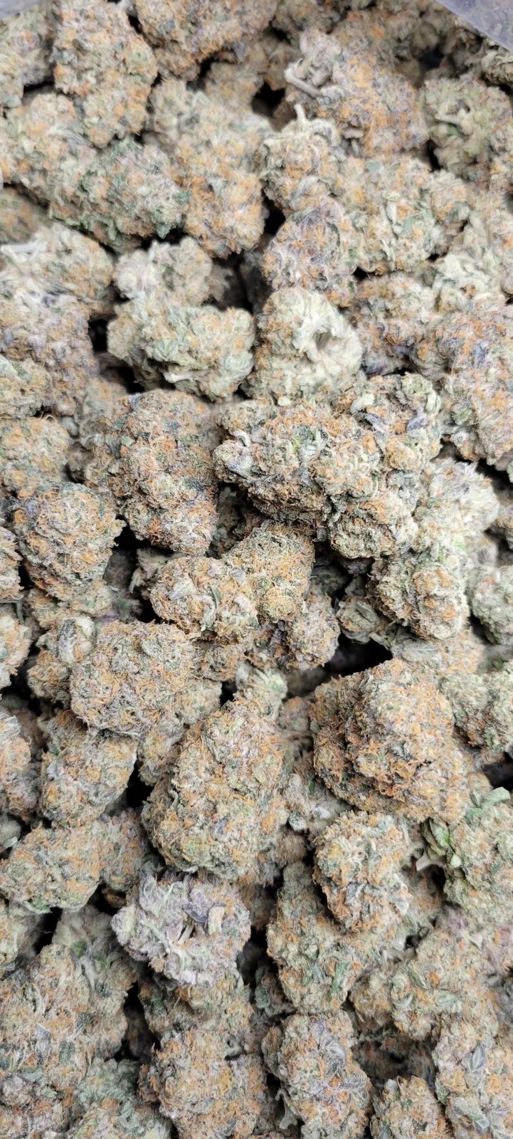 Blue Lobster Exotic Indoor THCA Flower Indica - CaliGreenGold