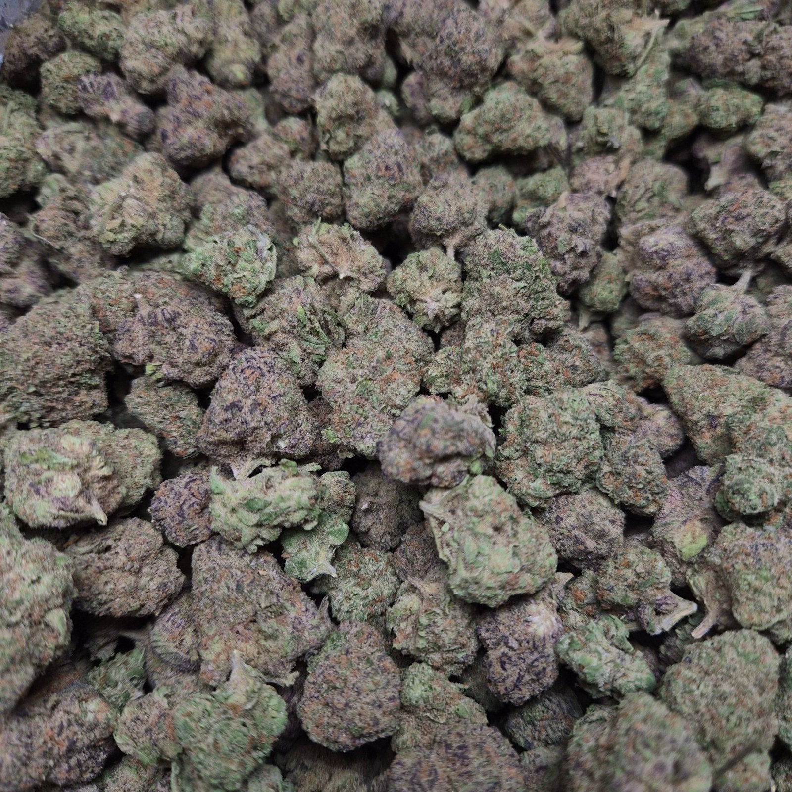 Blue Zkittlez THCA Flower – Indoor Top Shelf Indica | CaliGreenGold - CaliGreenGold
