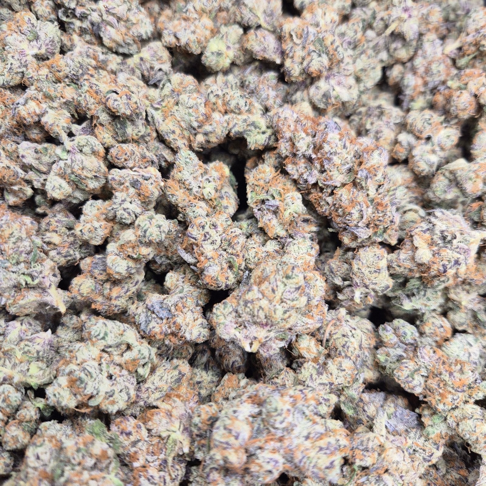 Blueberry Pie Exotic Indoor THCA Flower Hybrid - CaliGreenGold