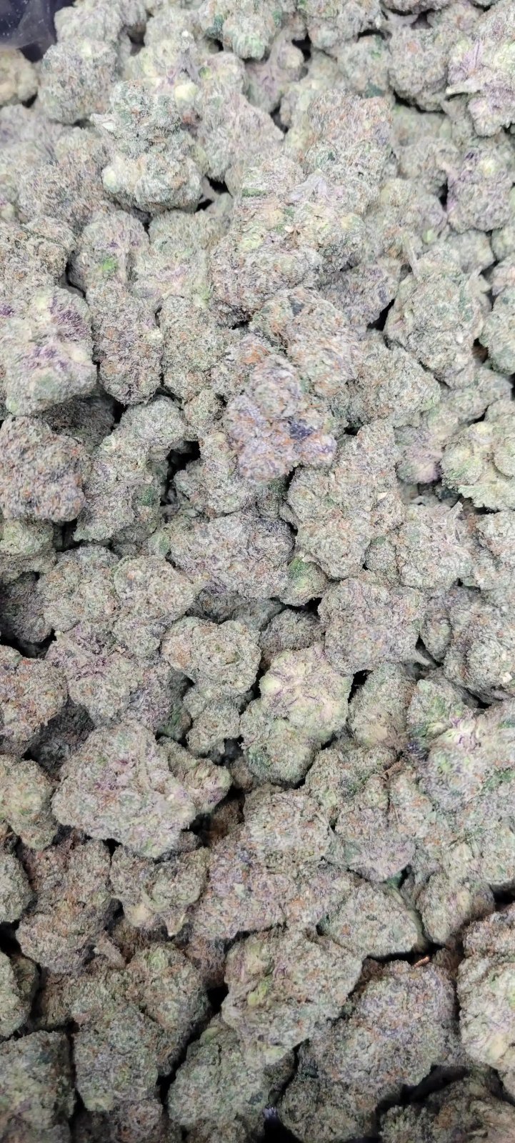 Bubble Burst Exotic Indoor THCA Flower Indica - CaliGreenGold