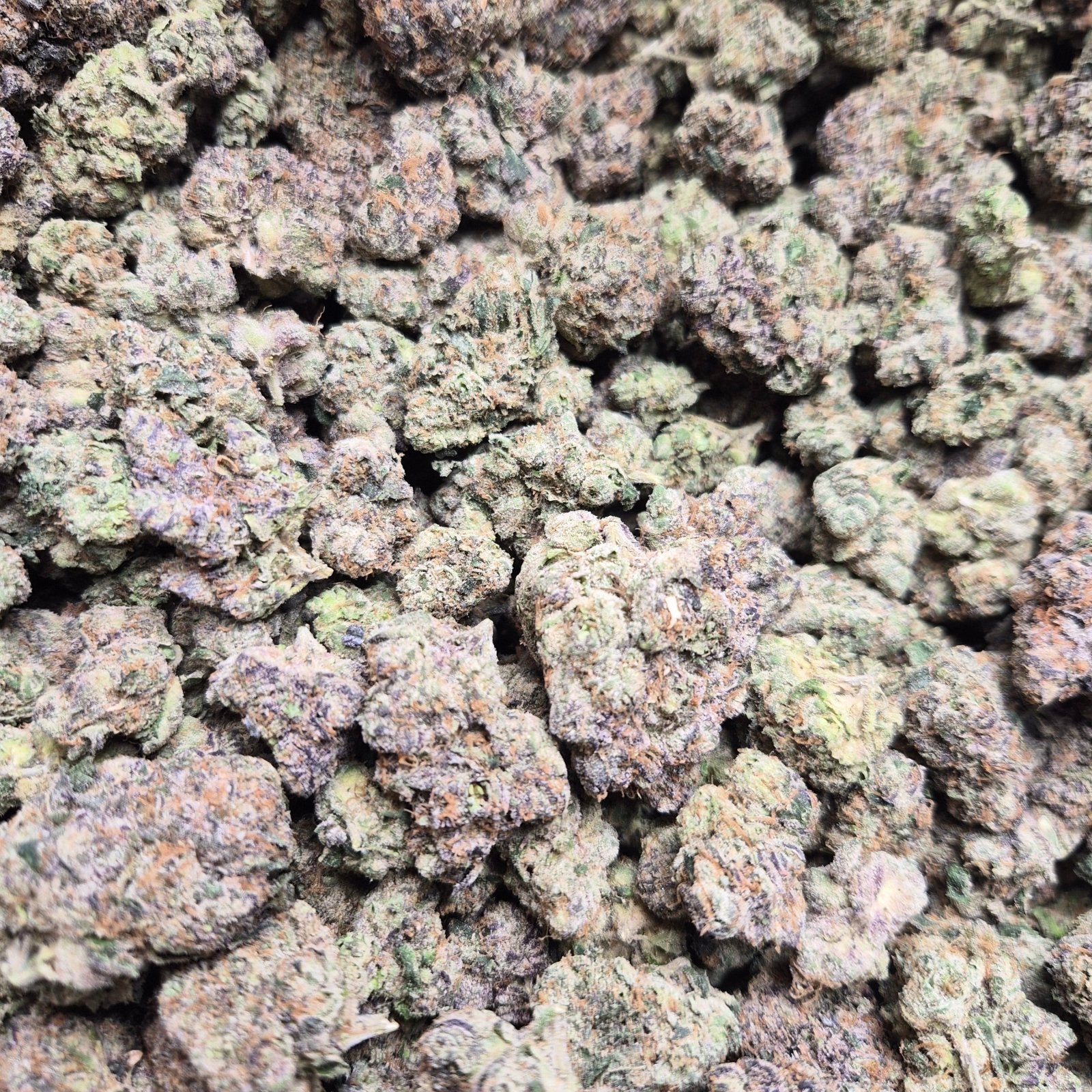 Bubblegum Runtz Exotic Indoor THCA Flower Hybrid - CaliGreenGold