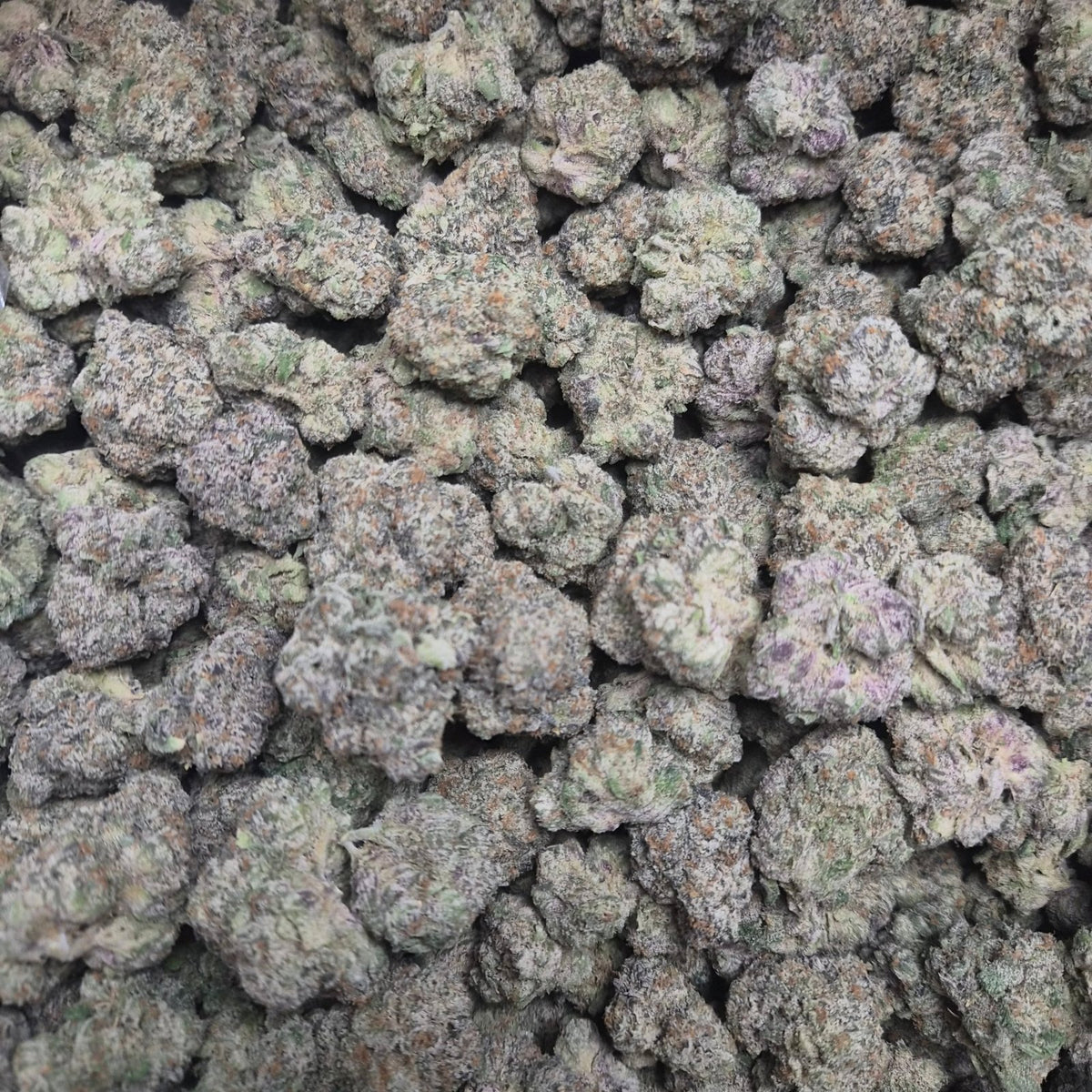 Bubblegum Runtz THCA Flower – Indoor Exotic Hybrid | CaliGreenGold - CaliGreenGold