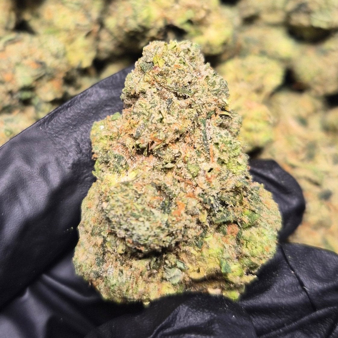 Cali Octane High THCA Flower Indica - CaliGreenGold