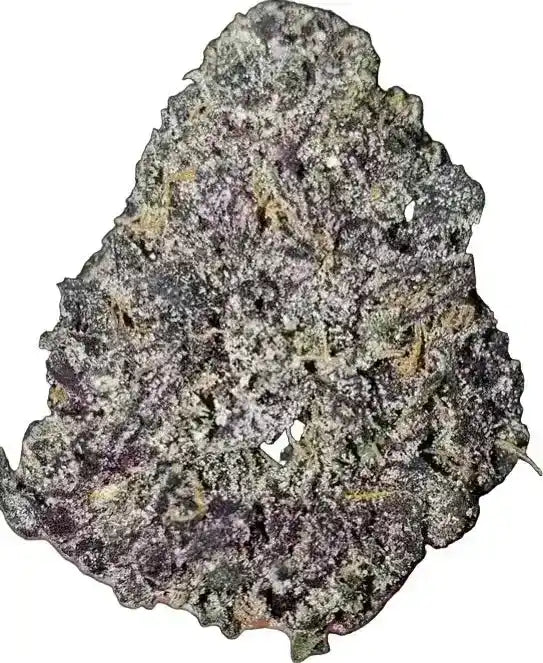 Black Runtz Exotic Indoor THCA Flower Indica, INDICA, CaliGreenGold