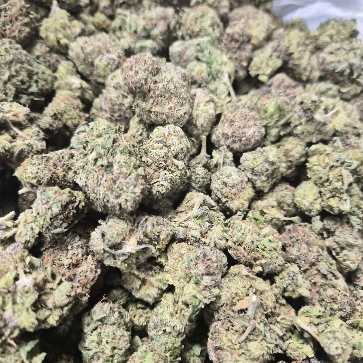 Candy Gas THCA Flower – Hybrid · Indoor Top Shelf - CaliGreenGold