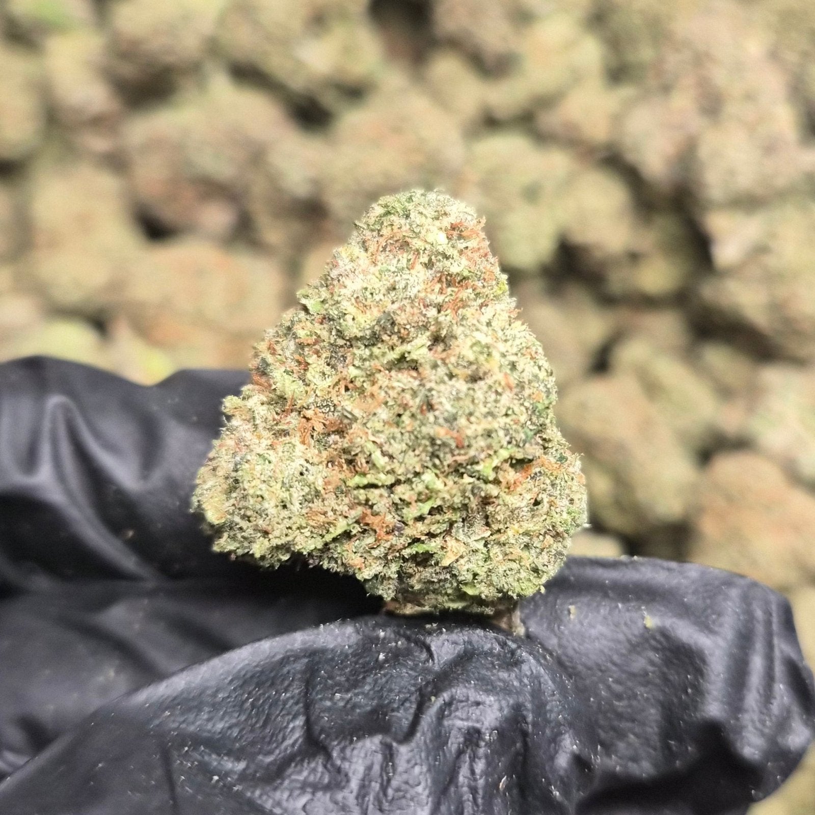 Cherry Warheads THCA Flower – Indoor Exotic Hybrid | CaliGreenGold - CaliGreenGold