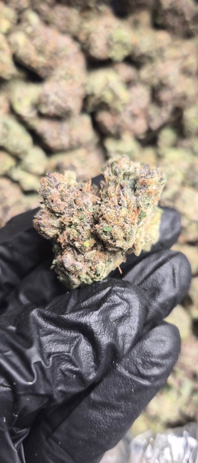 Cherry Zaza Exotic Indoor THCA Flower Indica - CaliGreenGold