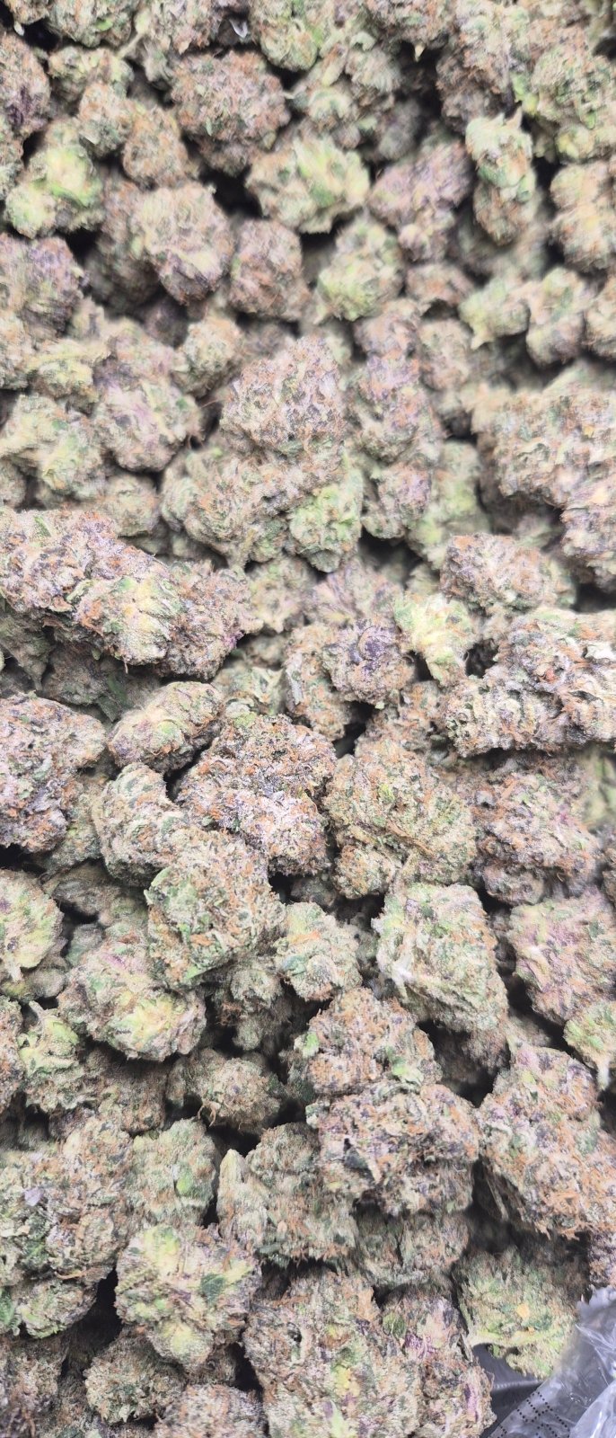 Cherry Zaza Exotic Indoor THCA Flower Indica - CaliGreenGold