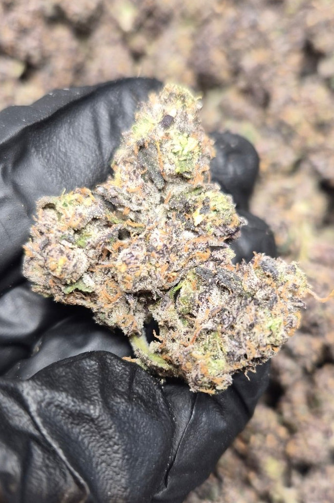 Crunch Berries Exotic Indoor Flower Indica - CaliGreenGold