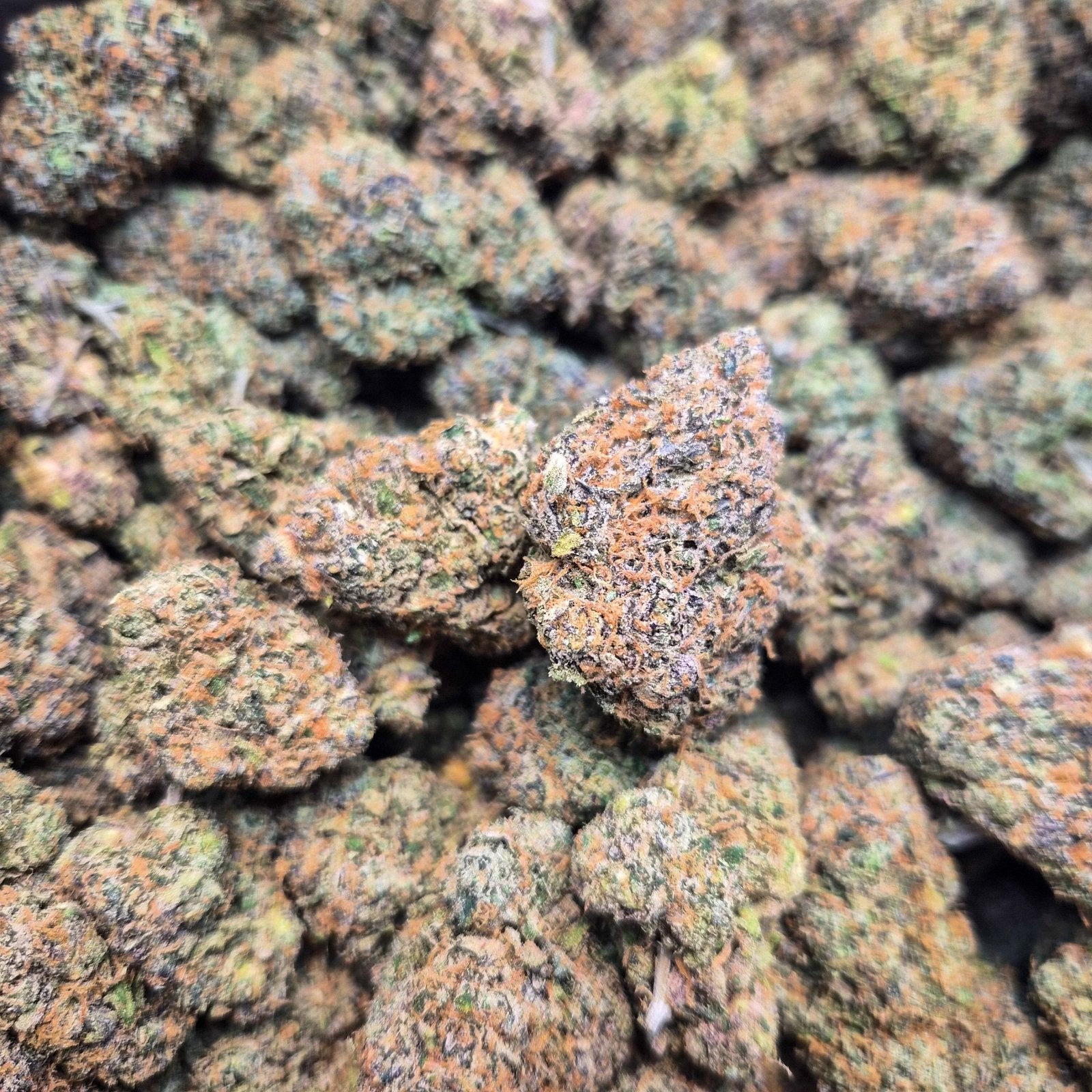 Dior Exotic Indoor THCA Flower Hybrid - CaliGreenGold
