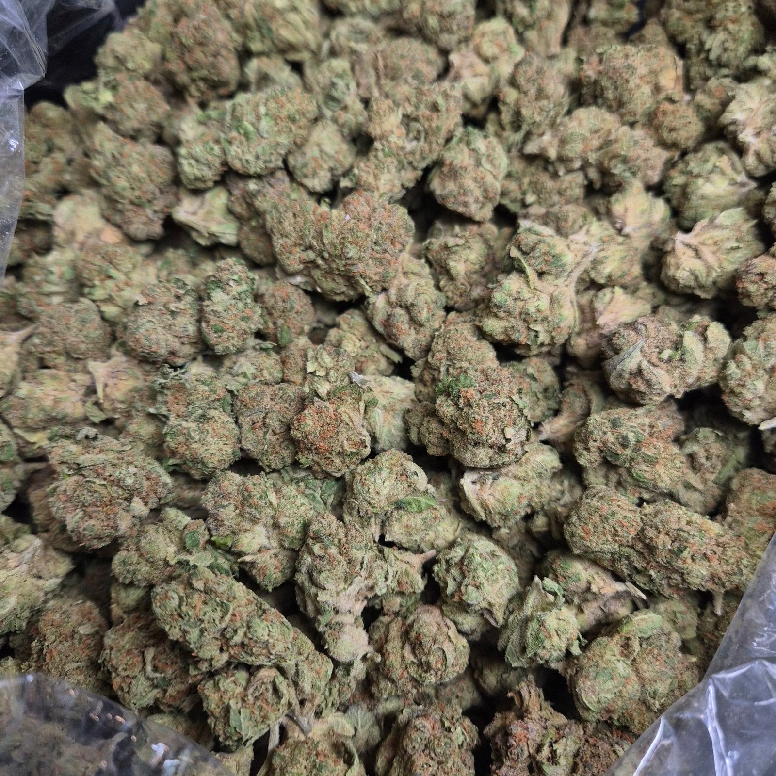 DURBAN COOKIES High THCA Flower Sativa - CaliGreenGold