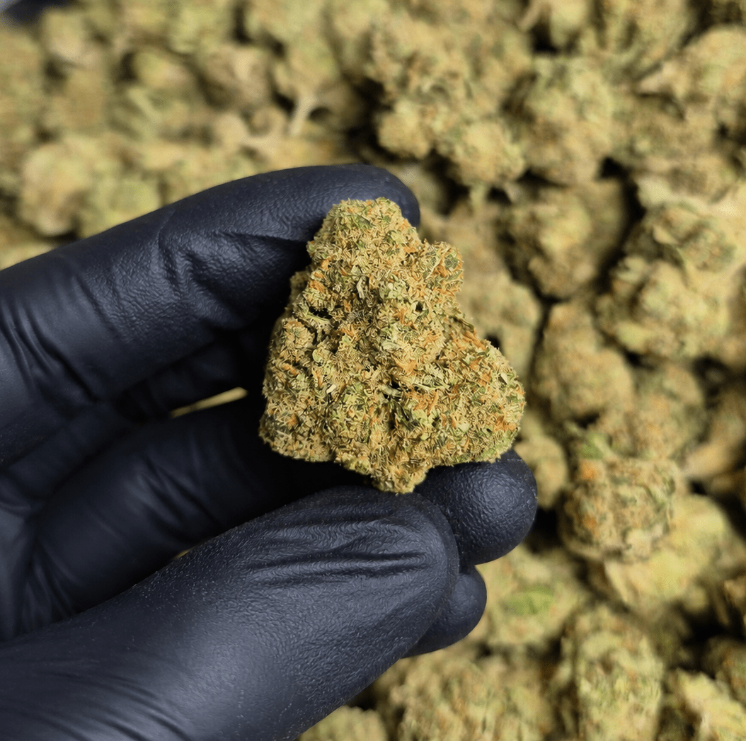 DURBAN COOKIES High THCA Flower Sativa - CaliGreenGold