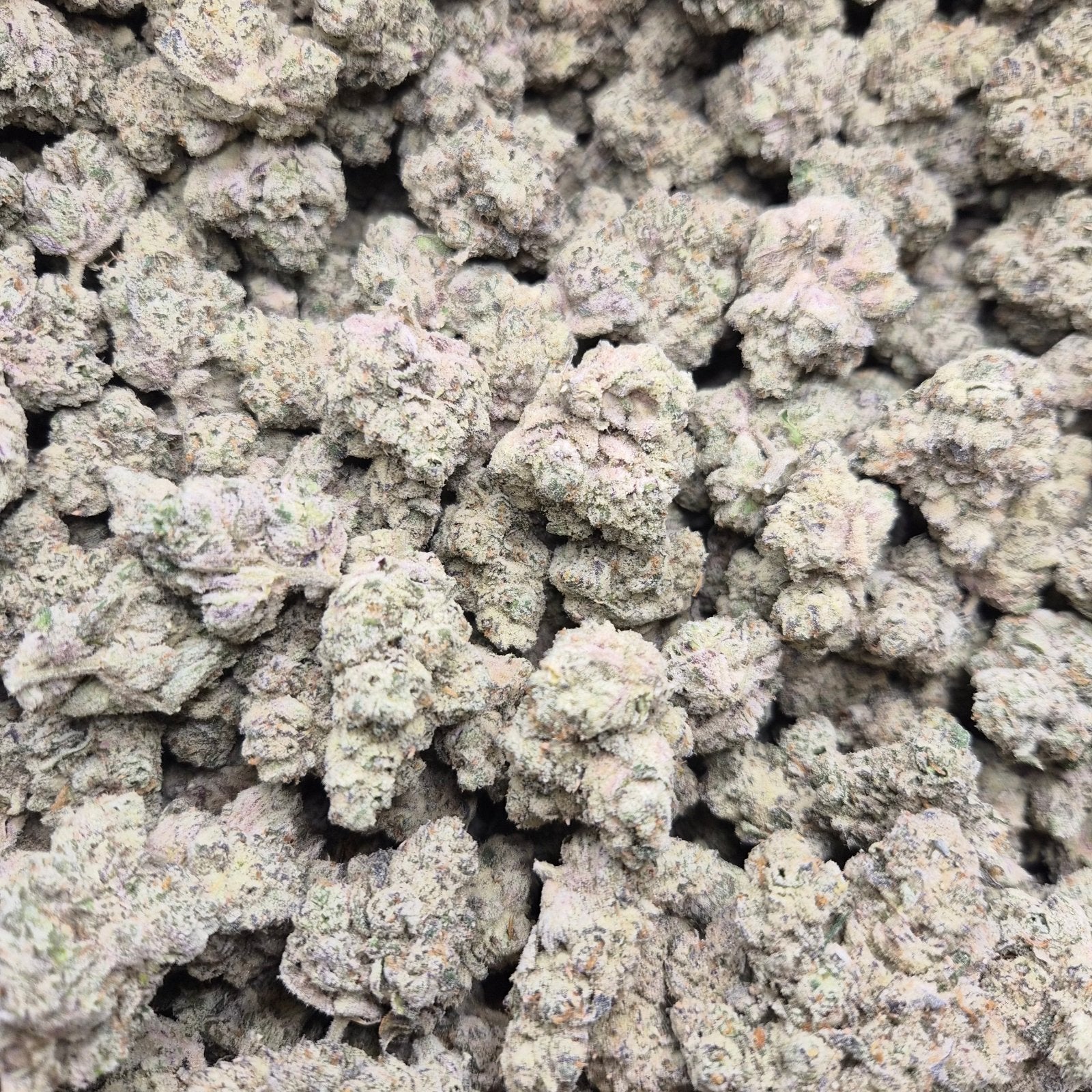 French Laundry Exotic Indoor THCA Flower Hybrid - CaliGreenGold