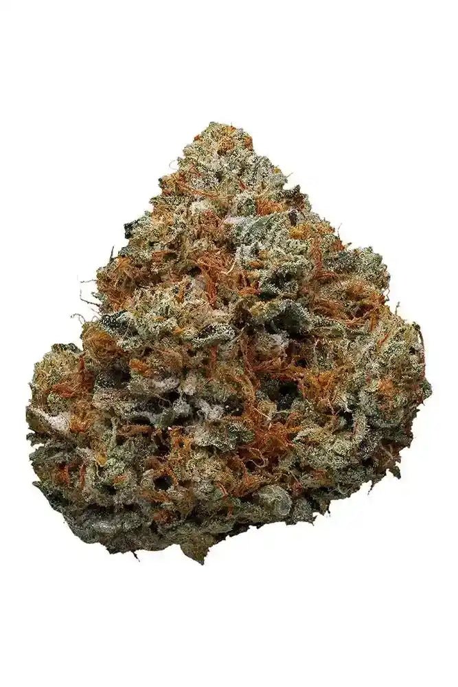 Godfather OG Exotic Indoor THCA Flower Indica - CaliGreenGold