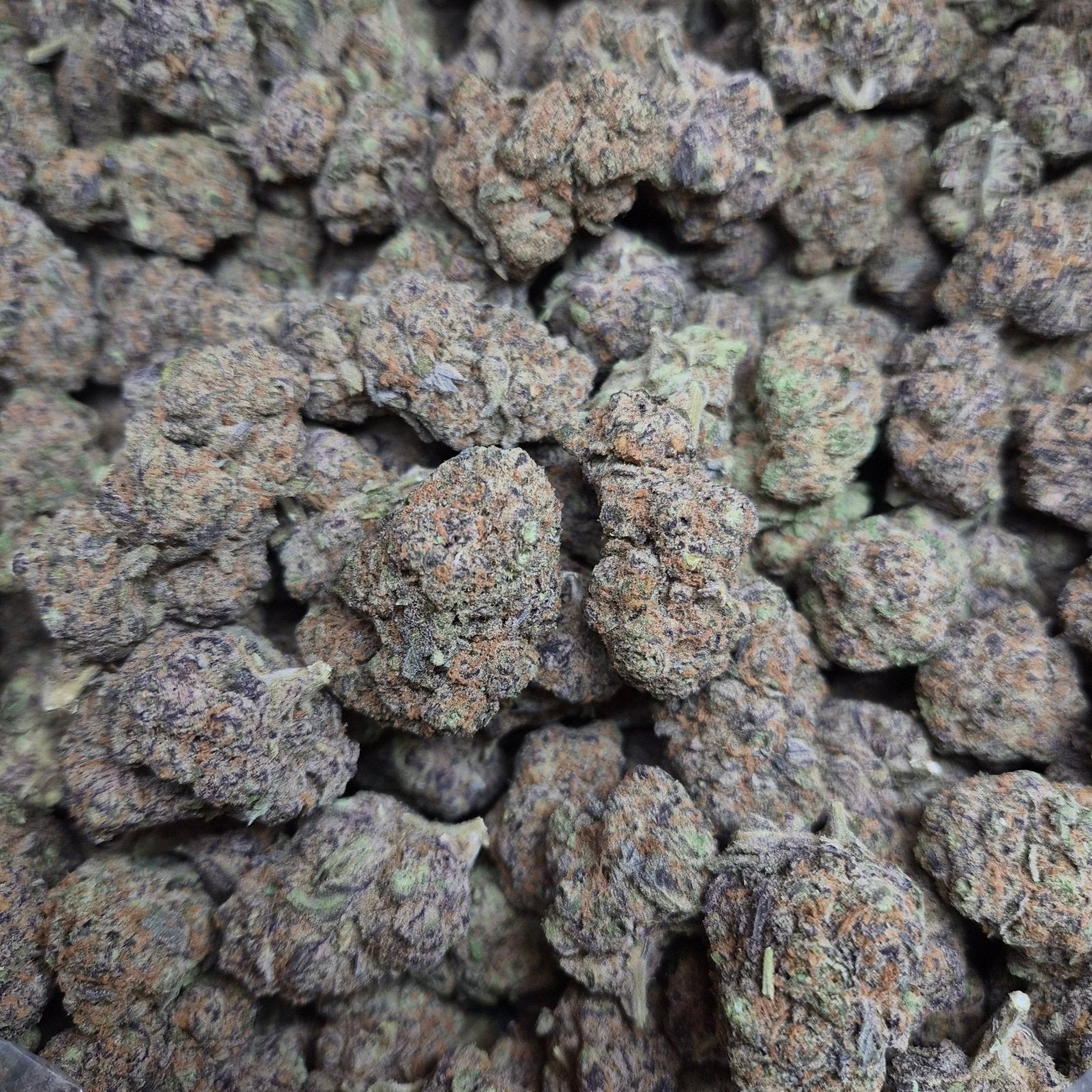 Grape Jolly Rancher THCA Flower – Indoor Hybrid Top Shelf | CaliGreenGold - CaliGreenGold