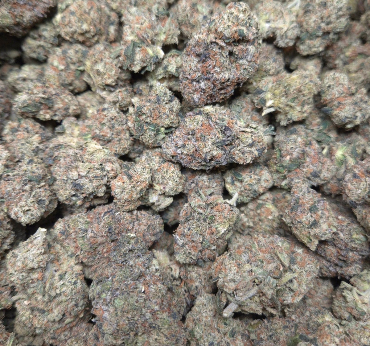 Gumbo THCA Flower – Indoor Top Shelf Indica | CaliGreenGold - CaliGreenGold