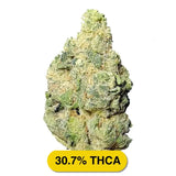 Bulk Gush Mintz Exotic Indoor THCA Flower Indica