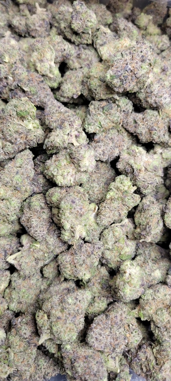 Hash Burger Exotic Indoor THCA Flower Hybrid - CaliGreenGold