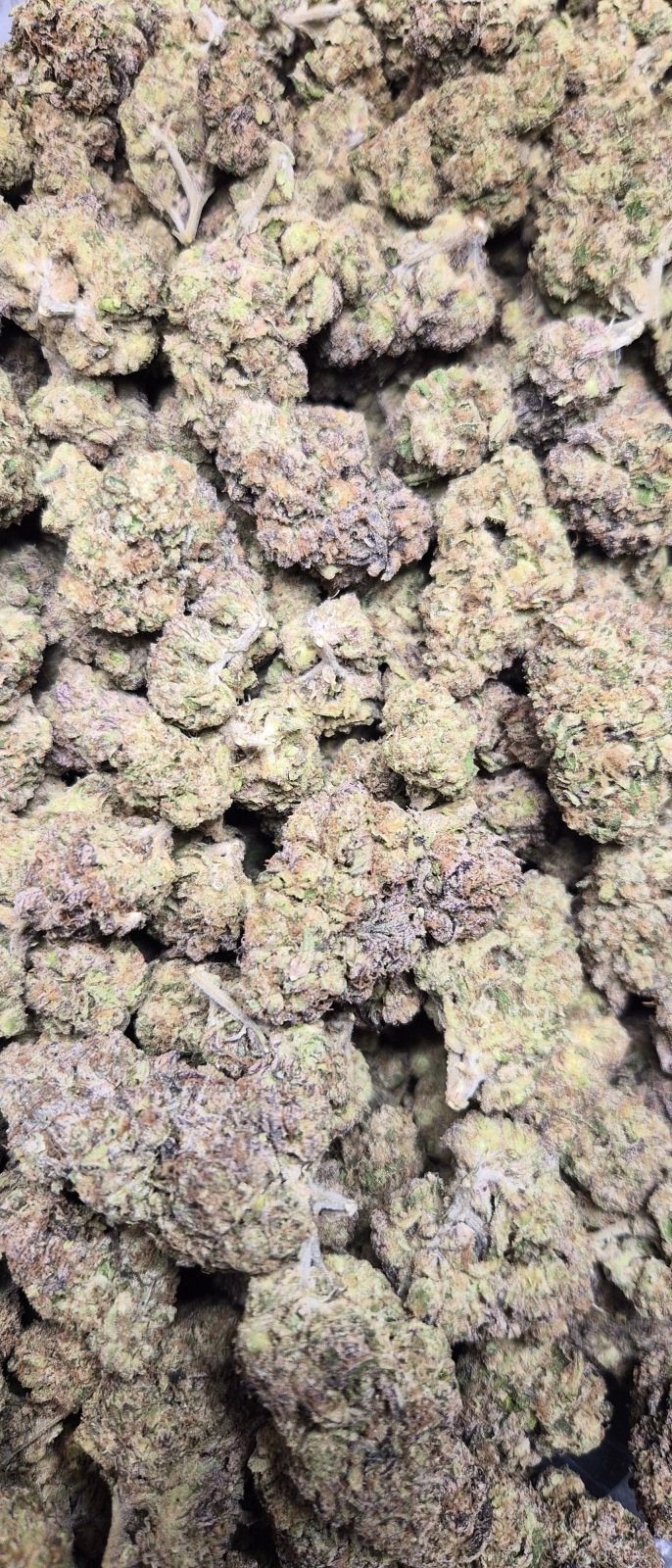 Jealousy Kush Mintz High THCA Flower Indica - CaliGreenGold