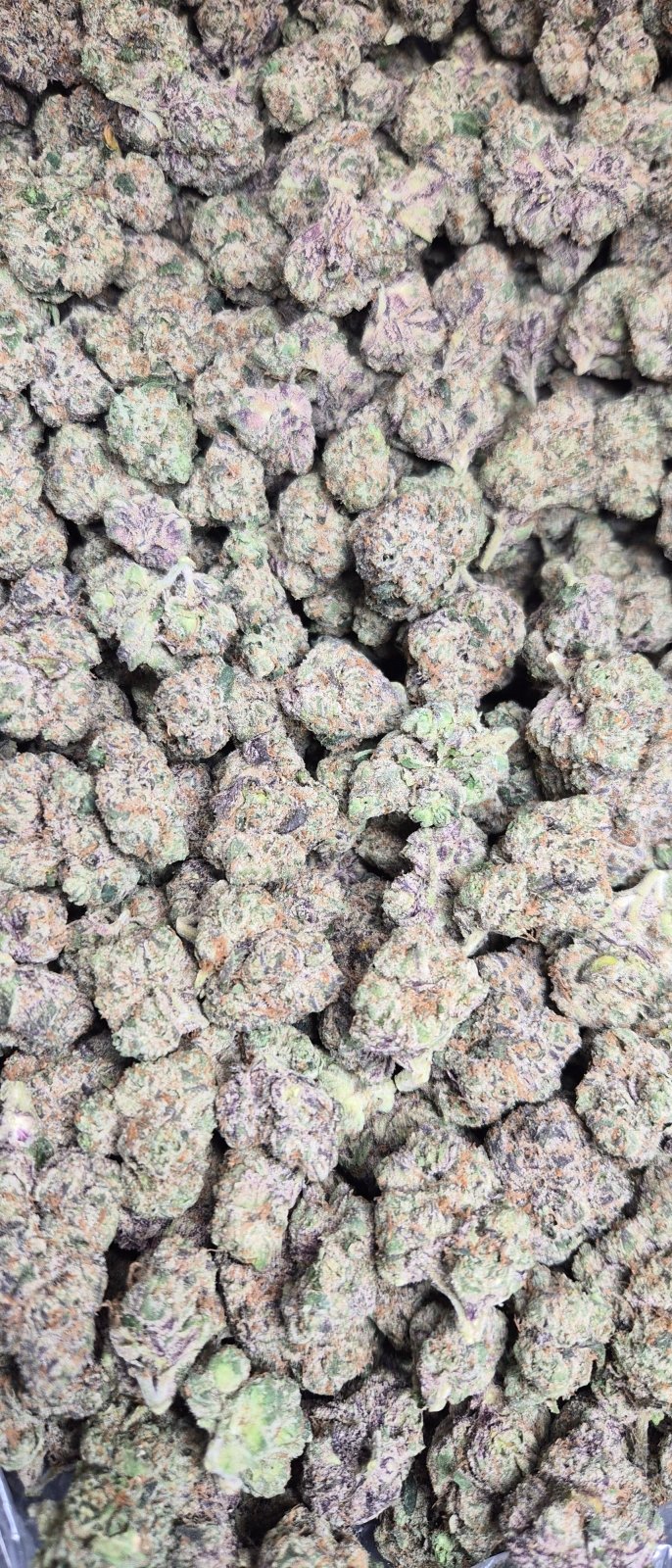 Lemon Cherry Gelato Exotic Indoor Flower Hybrid - CaliGreenGold