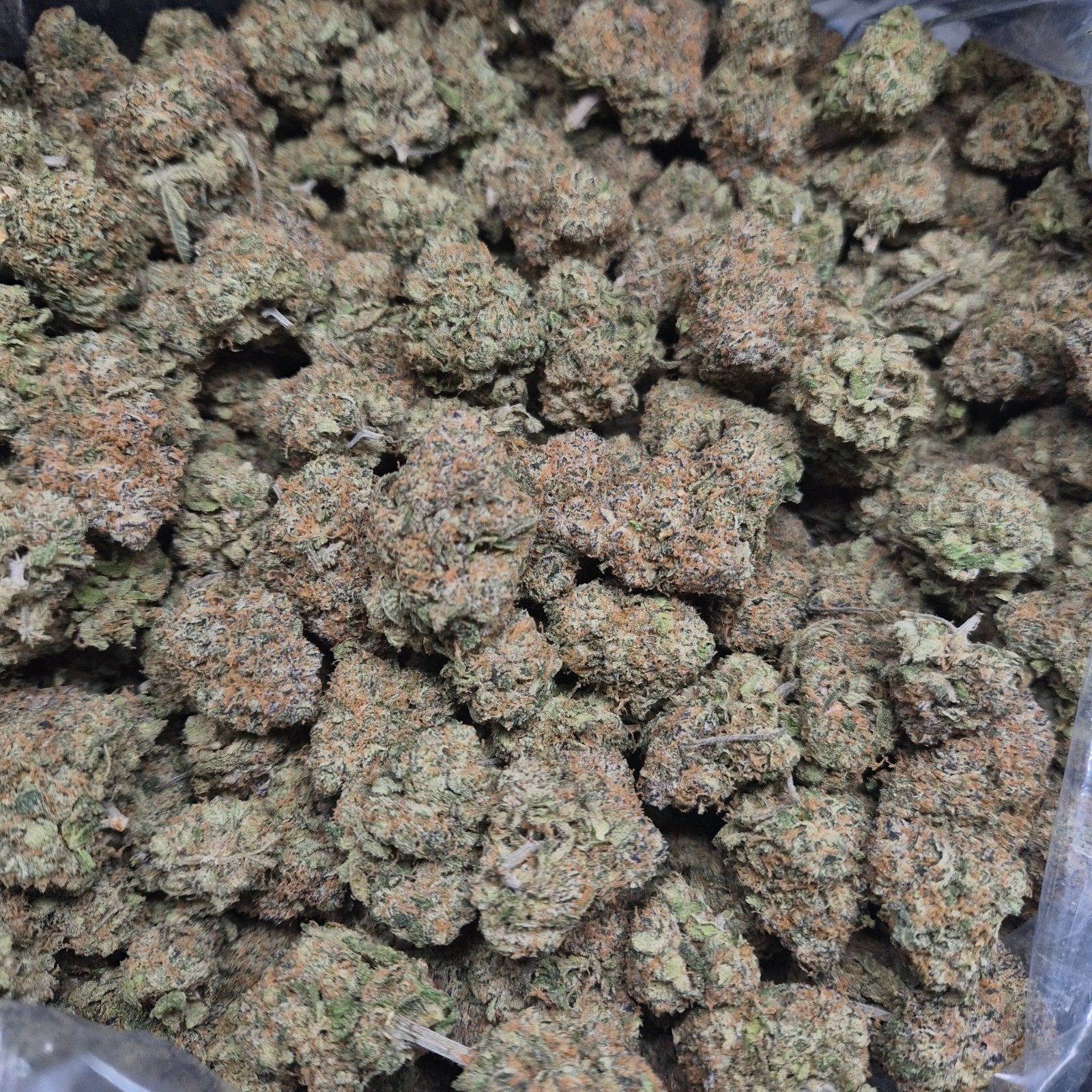 Lemon Tartz THCA Flower – Indoor Top Shelf Sativa | CaliGreenGold - CaliGreenGold