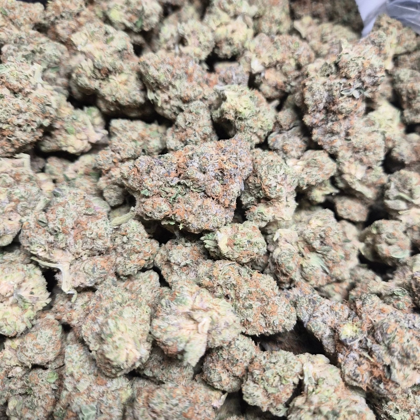 Lemon Tree Exotic Indoor THCA Flower Sativa - CaliGreenGold