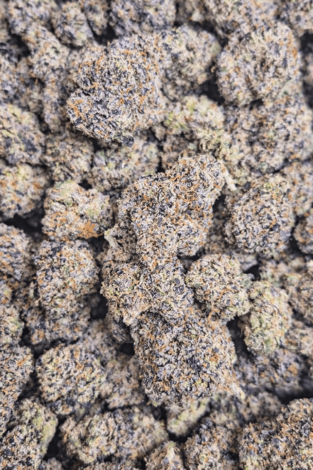 Mango Runtz Exotic Indoor THCA Flower Indica - CaliGreenGold