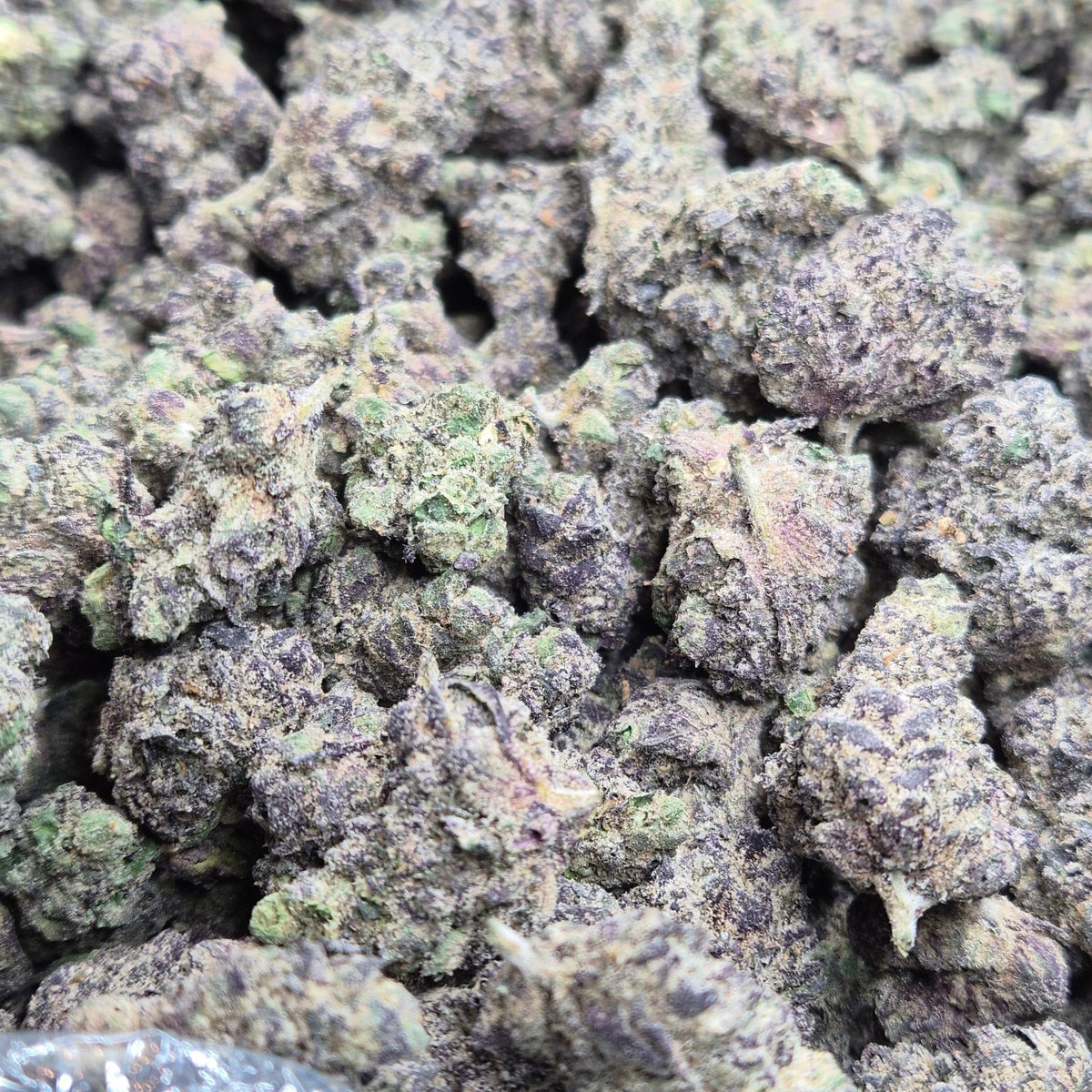 MOB Runtz THCA Flower – Hybrid · Indoor Exotic - CaliGreenGold